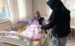 İstanbul’da pitbullun saldırdığı yaşlı kadının bacağı kesilmişti: Köpeğin sahiplerine verilen ceza açıklandı