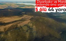 Diyarbakır ve Mardin arasında anız yangını: 5 kişi hayatını kaybetti