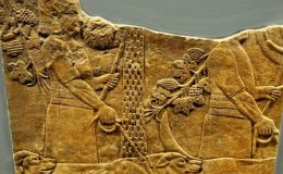 Vakanüvis yazdı: Eski devirlerde köpekle mücadele