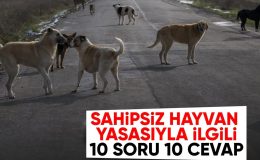 10 soruda başıboş hayvanlara yönelik düzenleme