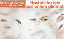 Türkiye’de ölümcül virüs uyarısı: Acil önlemler alınmalı